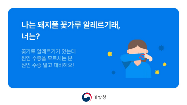 2025 공공서비스디자인 우수사례 - 나는 돼지풀 꽃가루 알레르기래, 너는? -꽃가루 관측 정보 100% 활용하기- 기상청 전주기상청