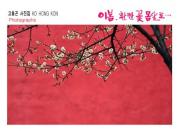 고홍곤 꽃사진작가 7회 개인전 개최