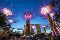 여행박사, 싱가포르 항공 프리미엄 이코노미석 탑승하는 싱가포르 자유여행 선보여