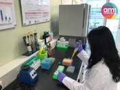 아미코스메틱, ‘스피루리나 추출물을 유효성분으로 함유하는 블루라이트 차단용 화장료조성물’ 특허 1건 등록 결정