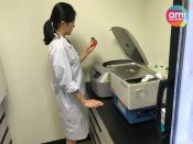 아미코스메틱, 멘톨·은행잎·알로에·녹차·병풀 및 하수오 추출물 포함 화장료 조성물 특허 등록 결정