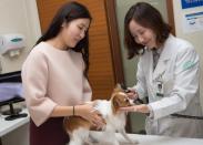 건국대, 서울시와 캠퍼스타운 반려동물 문화의 거리 시범 사업 진행