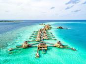 앙사나 벨라바루, 특별 미식 프로그램 운영