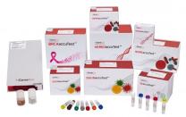 체외진단기업 엔젠바이오, VC 120억 투자 유치