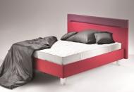 독일 기능성 침대 프롤리, 2019년형 프레임 모델 체인지 기념 연말 프로모션 실시