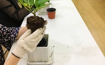 서울그린트러스트, 서울숲 봄철 가드닝프로그램 개설