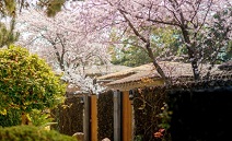 제주 씨에스호텔앤리조트, 국내 최초 전통호텔 5성 등급 획득