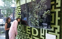 LG전자, 올레드 TV 여름 컬러 체험 마케팅