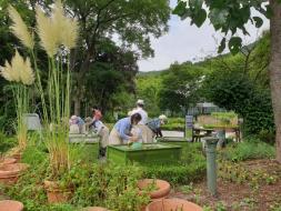 신구대학교식물원, 할매할배의 초록손으로 만든 ‘오감 치유정원’ 조성 완료