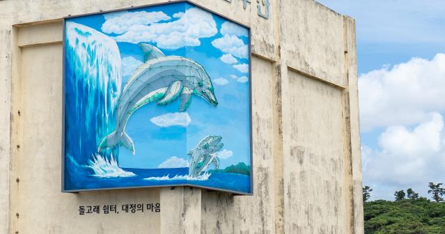 제주 해안, 건물 벽에서 수영하는 남방큰돌고래… 이니스프리 모음재단, 업사이클 아트로 공존의 메시지 전하다
