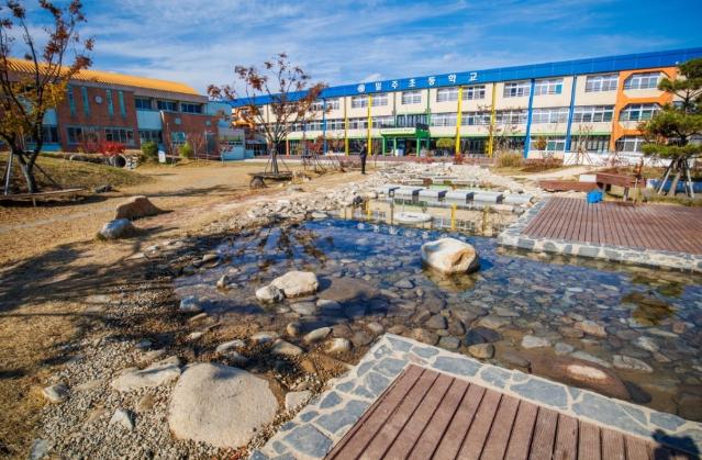 운동장의 마법, 생태운동장: 흙먼지 운동장에서 자연의 교실로 - 밀주초등학교가 보여준 생태운동장의 혁신