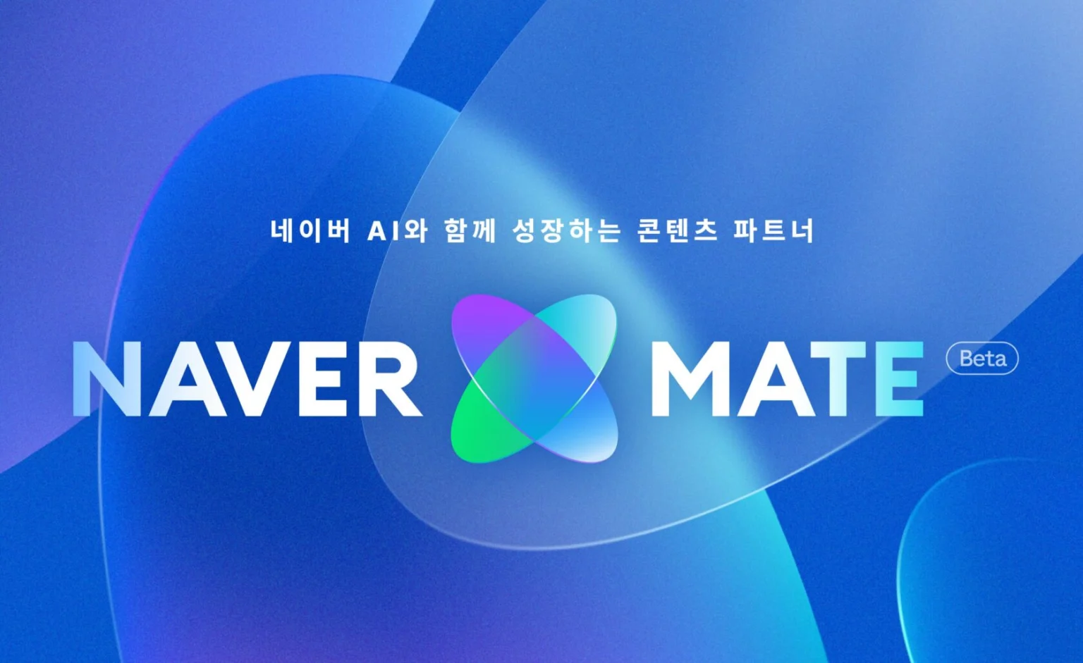 창작자에 돈 쓰는 네이버, 진짜 노림수는 GEO?