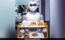 미국의 ‘푸드로봇(Food Robot)’ 을 만나보다