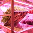 2019년 가을을 함께할 전세계 디자인 및 건축전시 ③