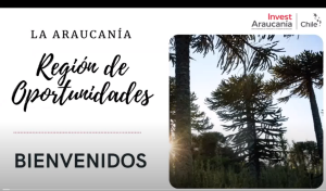 칠레 'Araucania 지역, 기회의 땅' 웨비나 참관기