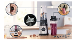 이집트 건강 라이프 스타일 확산, 휴대용 블렌더의 신규 트렌드 형성