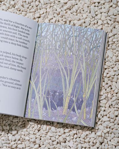 디자인 스튜디오 포르마판타스마(Formafantasma), 어린이에게 환경을 가르치기 위한 그림책 출간