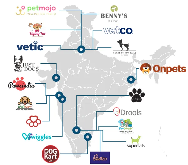 '집 지키미'에서 '우리 가족'으로 변신한 반려동물, 인도 펫케어 시장의 잠재력