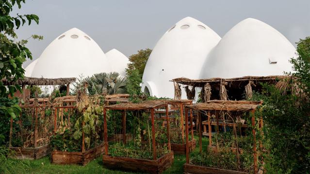 Emkaan은 두바이 학교를 위해 뾰족한 돔 형태의 교실 클러스터를 설계했다.