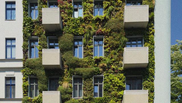 화재 안전성에 의문이 제기되는 주장과 함께 판매되는 그린 월 시스템