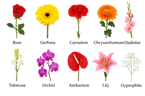 인도 화훼시장, 도시화와 웨딩 수요로 급성장