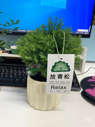 중국 소비의 정서적 전환, K-웰니스 기회로 부상