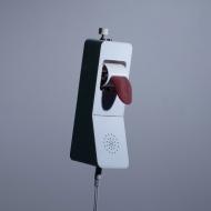 말소리를 신체감각으로 재현하는 “핥는 전화기”
