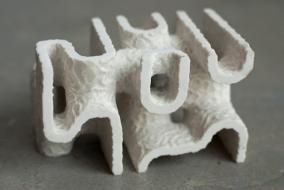 3D 프린팅과 탄산칼슘 결합해 산호초복원 시도