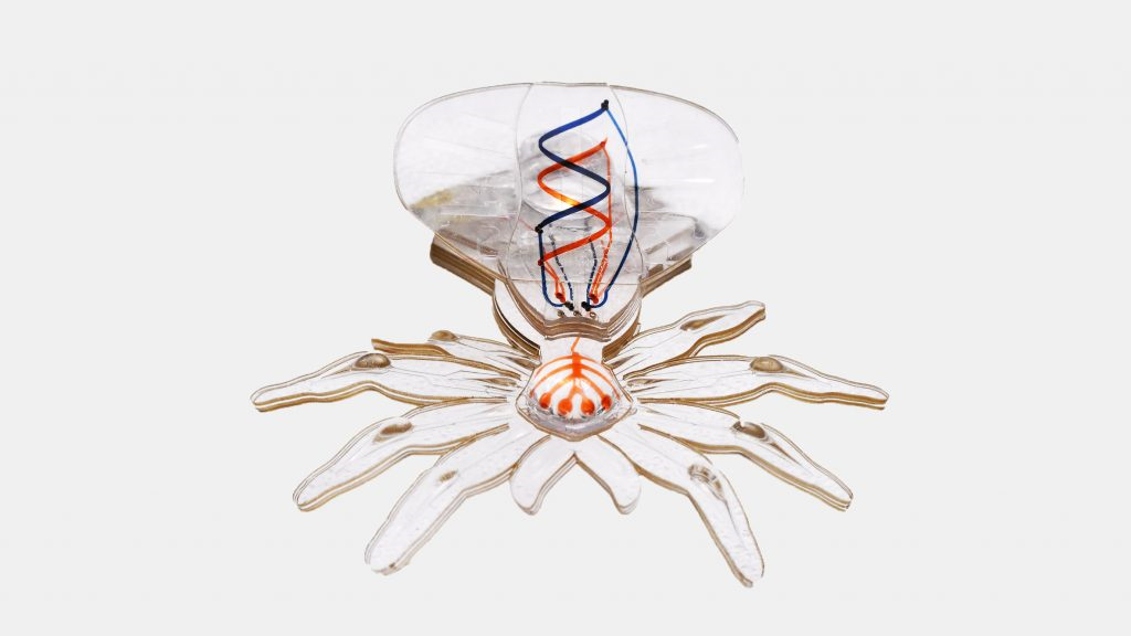 거미모양의 소형 로봇, 미세수술의 미래되나