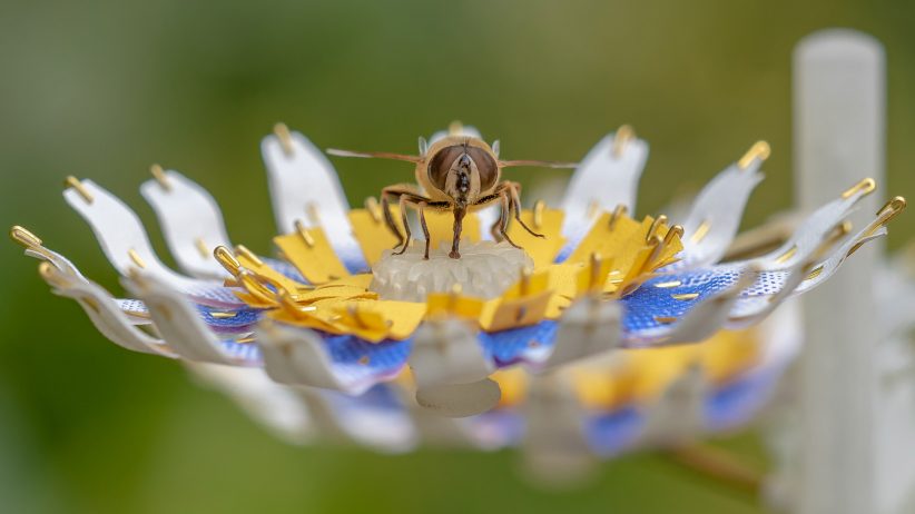 네덜란드 디자이너, 수분매개 곤충을 위한 인공 꽃 제작