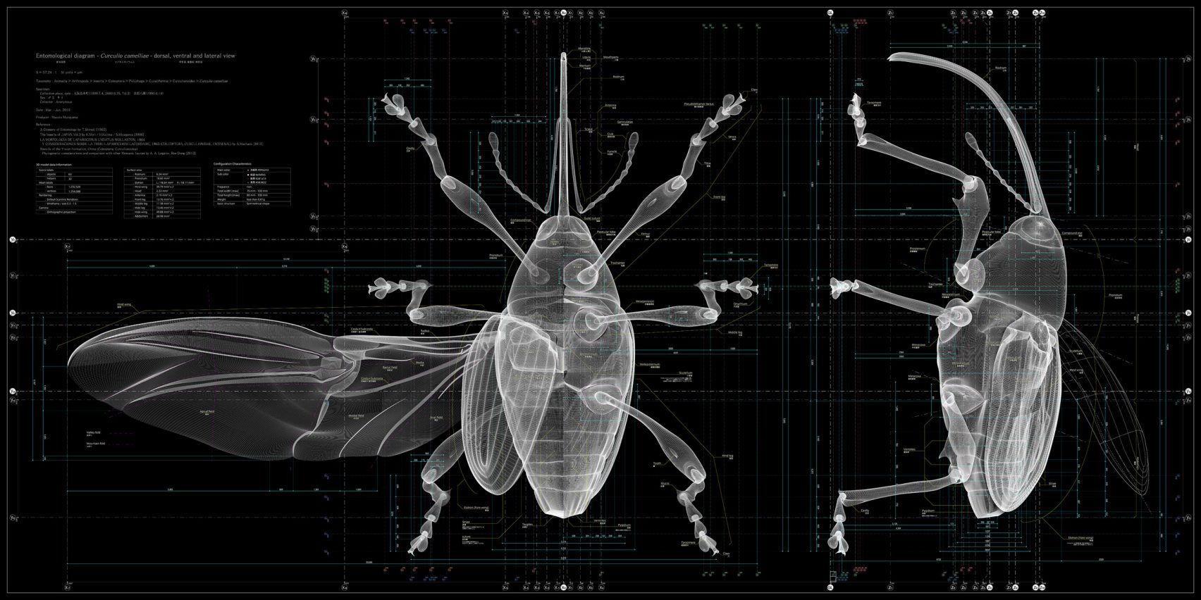 곤충에서 인류의 미래를 찾는 ‘곤충: 디자인의 본보기’전시