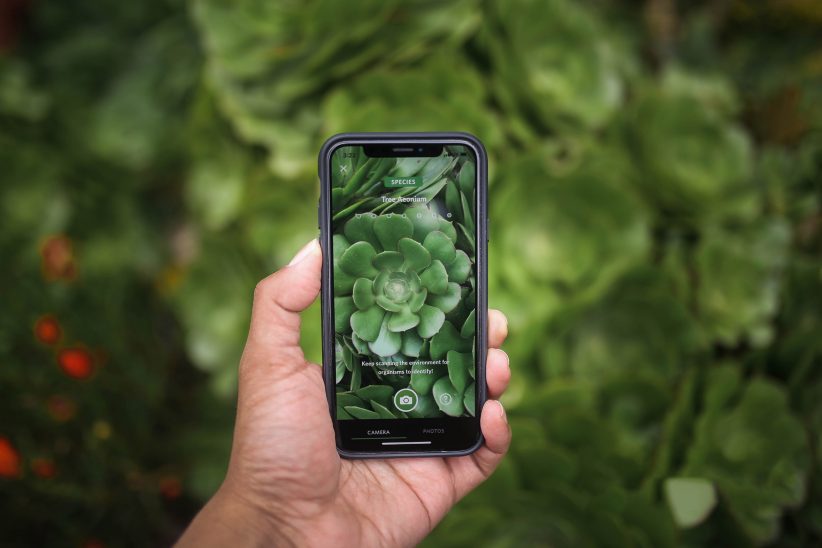 동식물 식별하는 증강현실 앱, 시크(Seek) 최신판