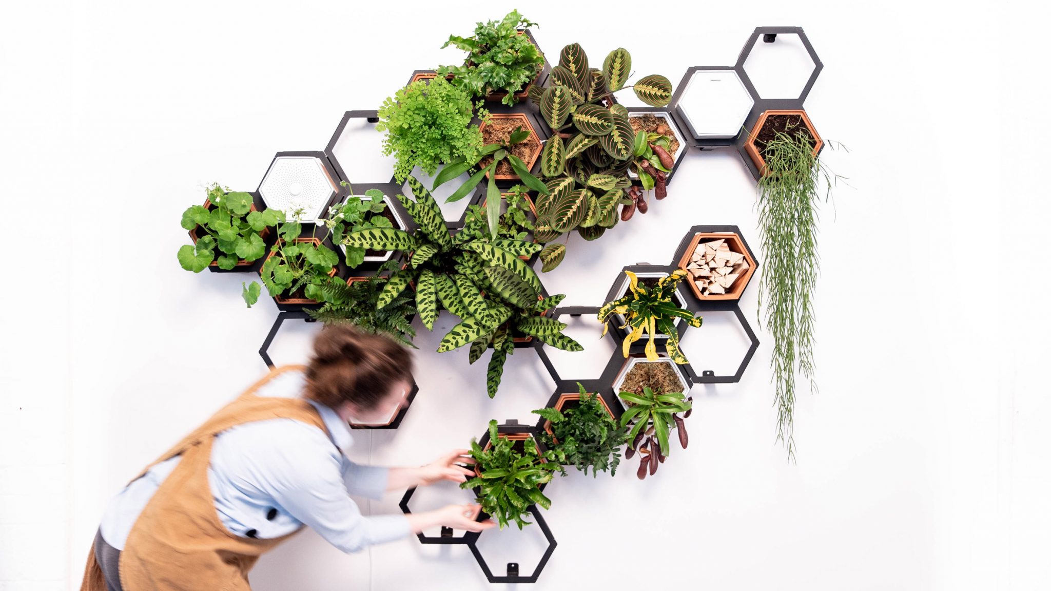 살아있는 식물을 액자처럼 벽에 거는 모듈형 시스템
